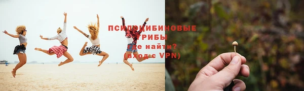 амф Алексин